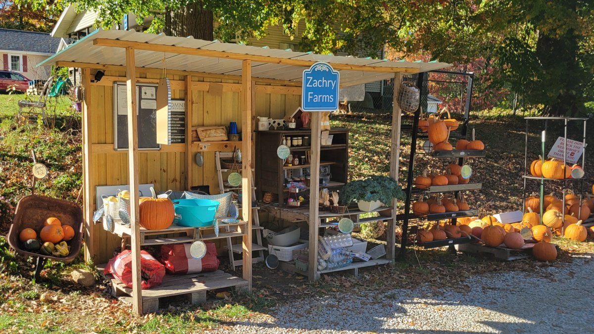 Zachry Farms Produce Stand with pumpkins and other fall treats.