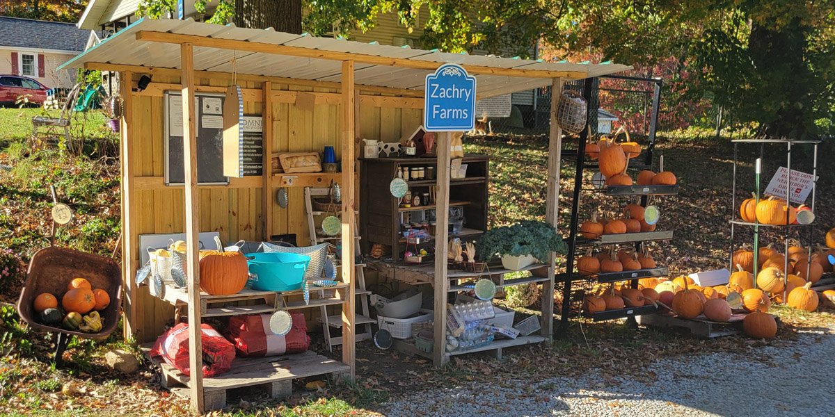 Fall at the Farmstand: Why Zachry Farms Is a Local Treasure